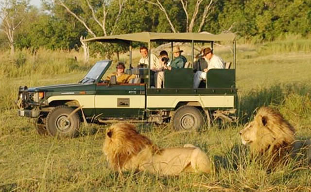 Safari I Mau-Mau Land [1956]
